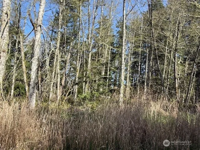 0 Lot 15 Ander Park Road Freeland, WA 98249