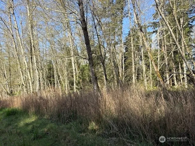 0 Lot 15 Ander Park Road Freeland, WA 98249