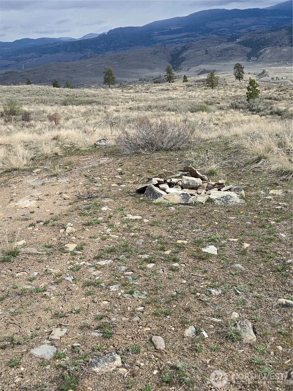 0 TBD Twin Springs Road Tonasket, WA 98855