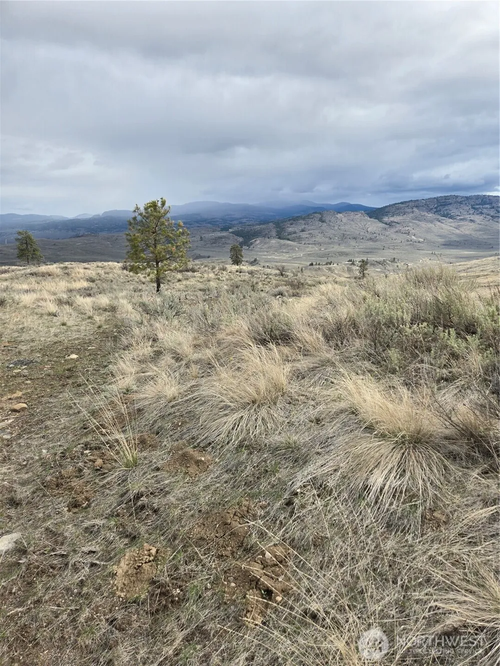 0 TBD Twin Springs Road Tonasket, WA 98855