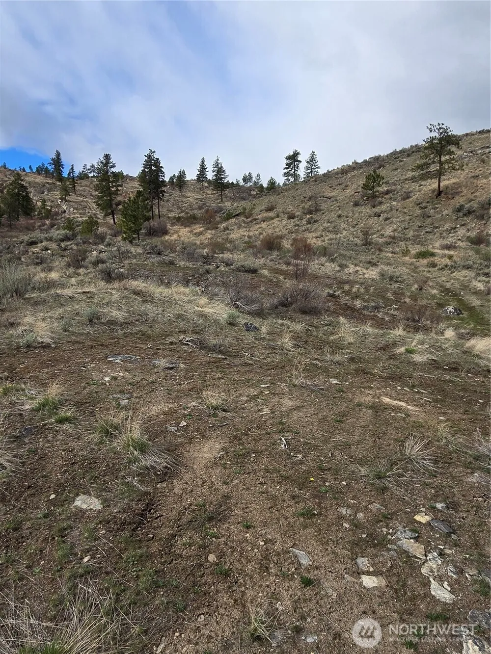 0 TBD Twin Springs Road Tonasket, WA 98855