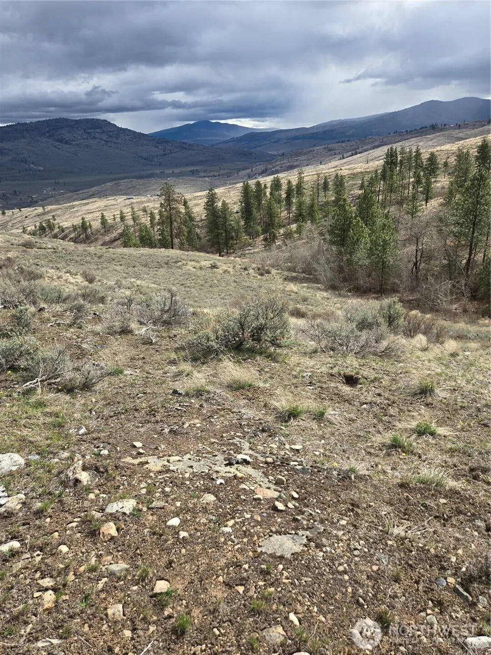 0 TBD Twin Springs Road Tonasket, WA 98855