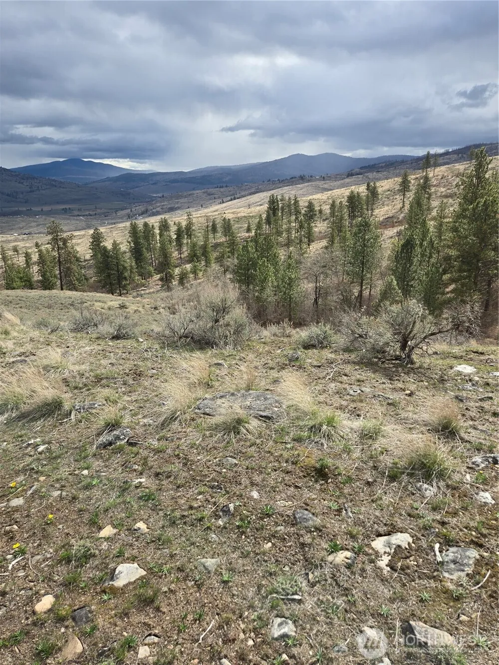 0 TBD Twin Springs Road Tonasket, WA 98855
