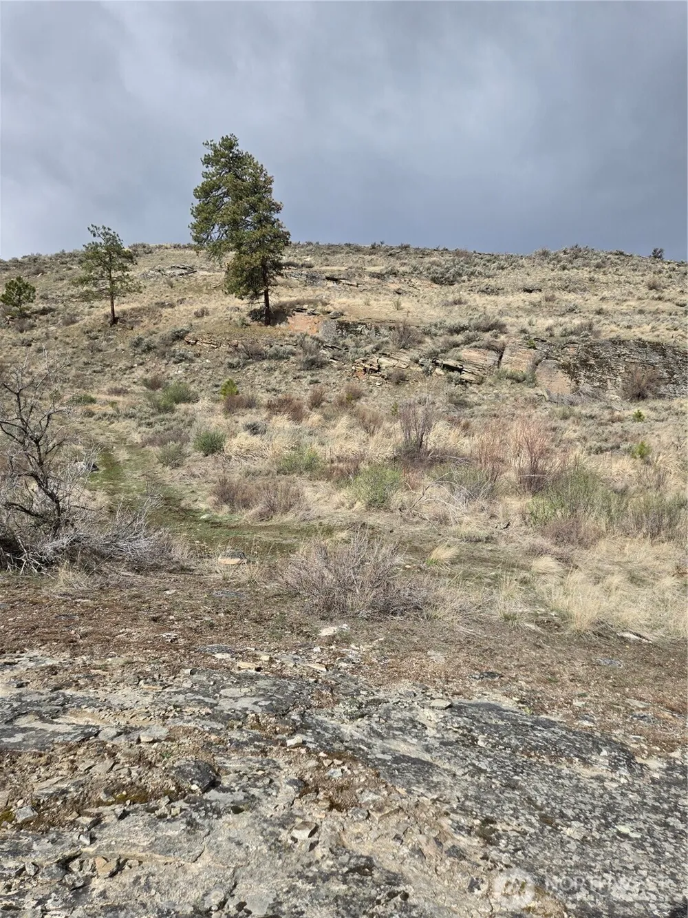 0 TBD Twin Springs Road Tonasket, WA 98855