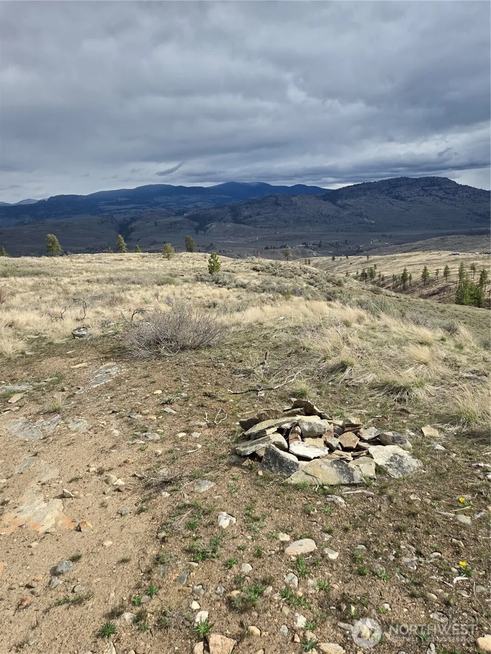 0 TBD Twin Springs Road Tonasket, WA 98855