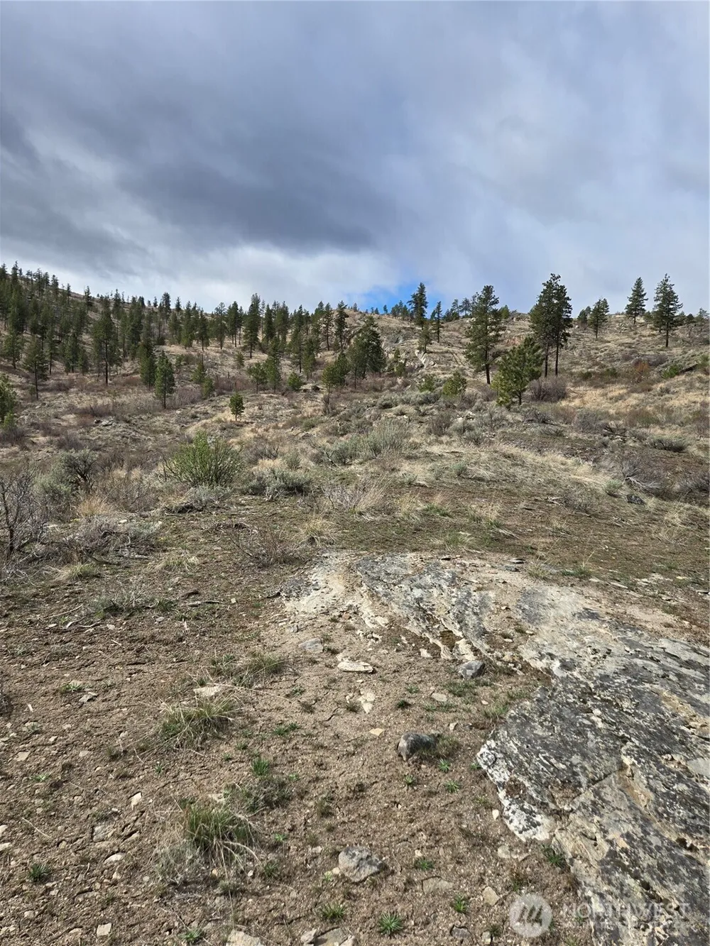 0 TBD Twin Springs Road Tonasket, WA 98855