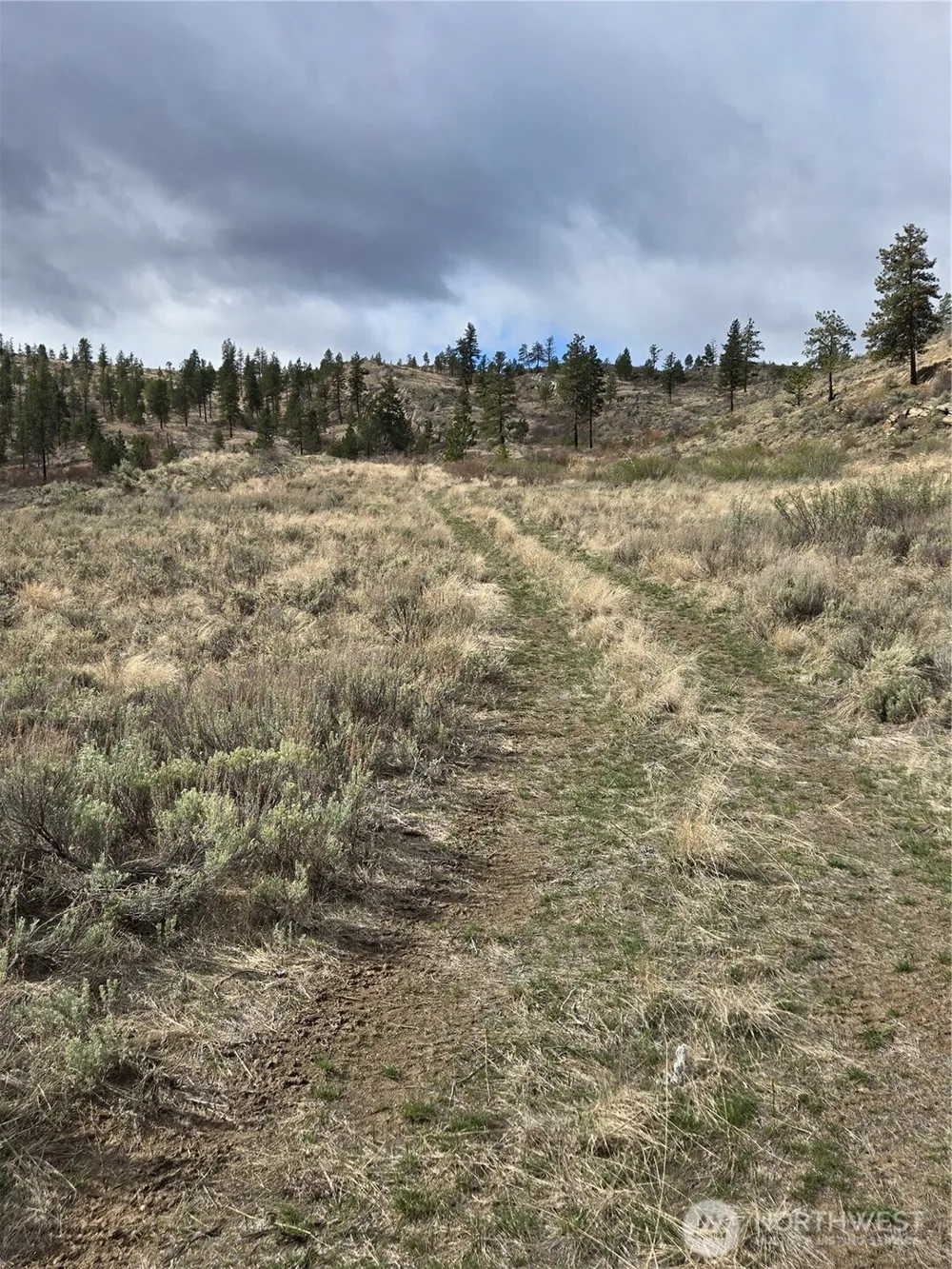 0 TBD Twin Springs Road Tonasket, WA 98855