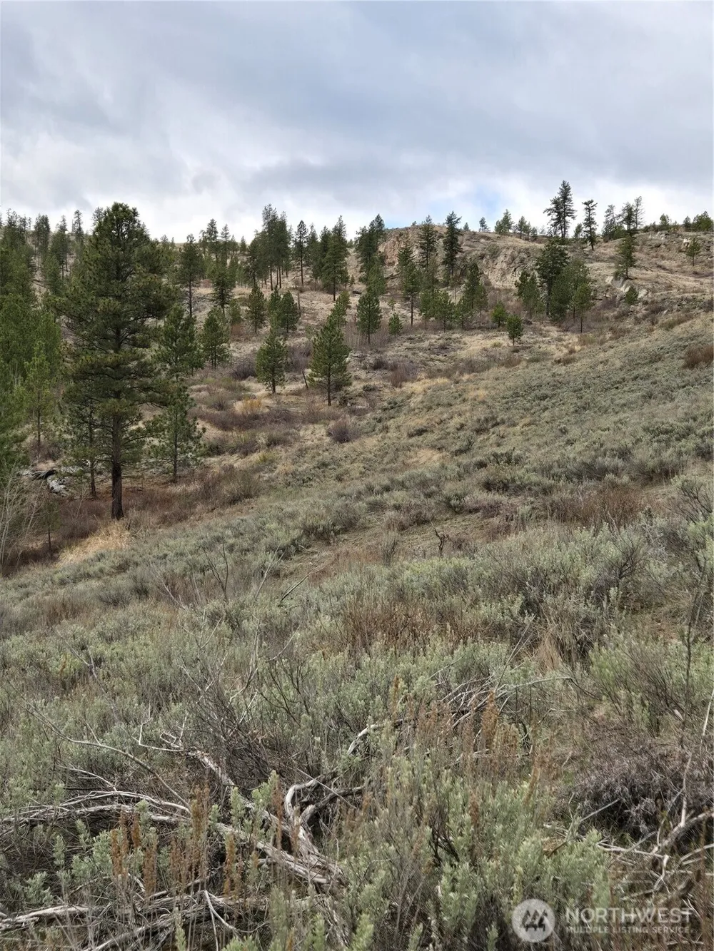 0 TBD Twin Springs Road Tonasket, WA 98855
