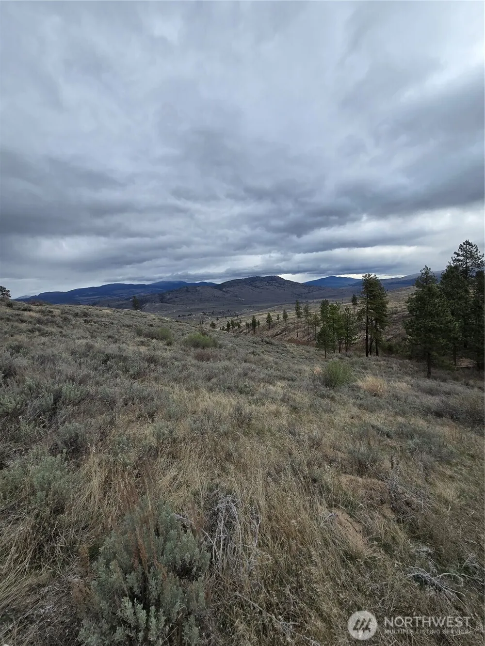 0 TBD Twin Springs Road Tonasket, WA 98855