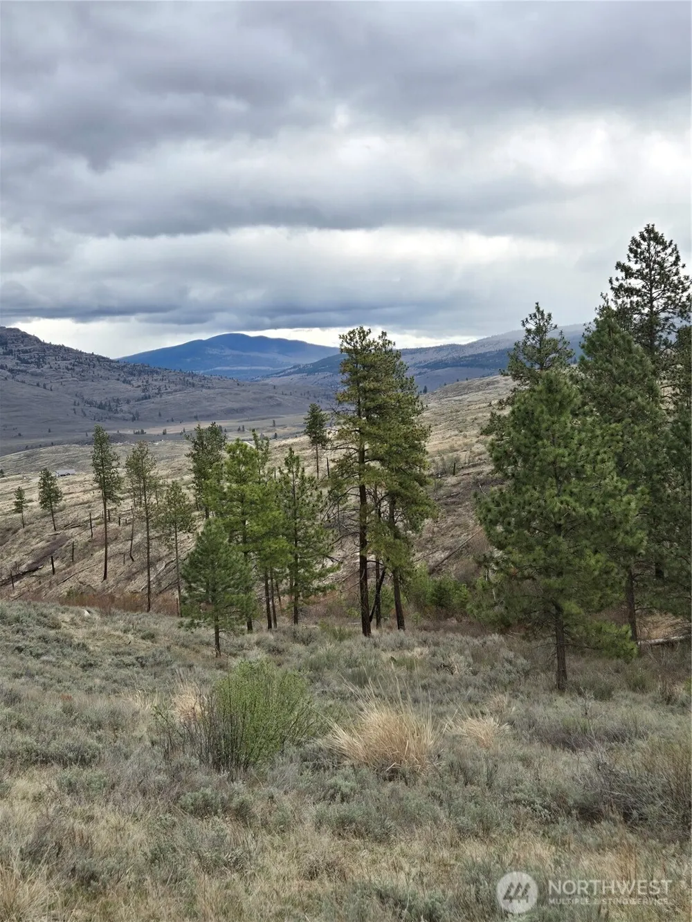 0 TBD Twin Springs Road Tonasket, WA 98855