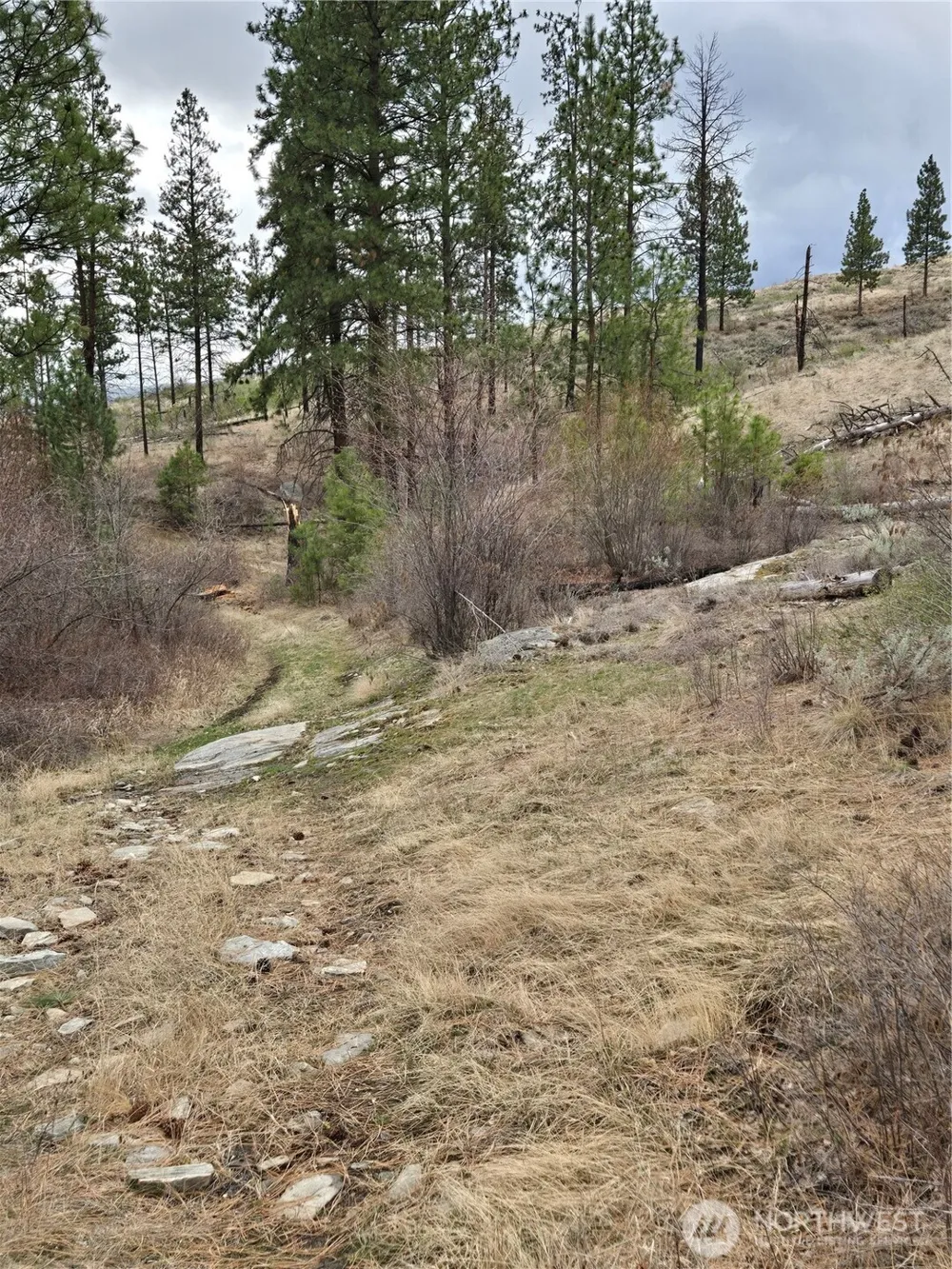 0 TBD Twin Springs Road Tonasket, WA 98855