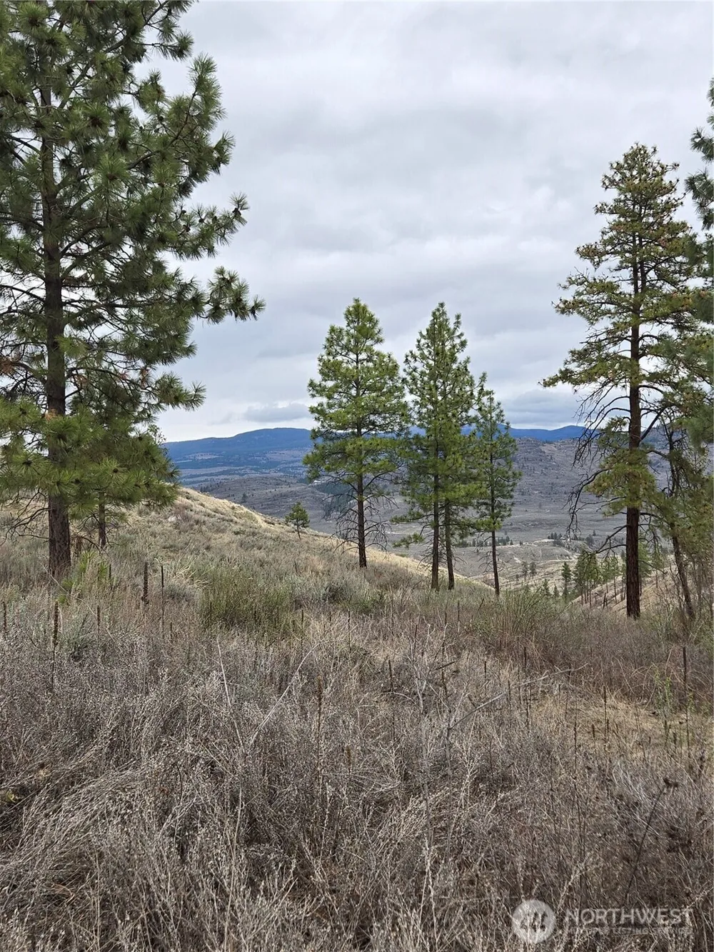 0 TBD Twin Springs Road Tonasket, WA 98855