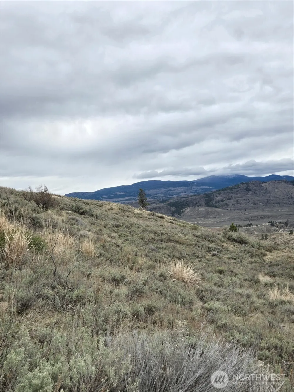 0 TBD Twin Springs Road Tonasket, WA 98855