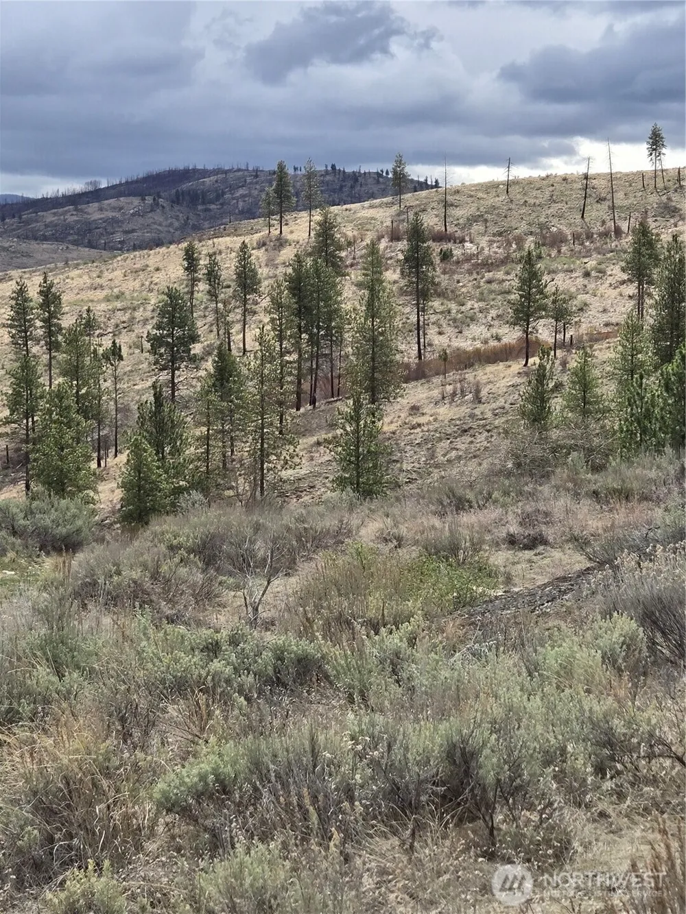 0 TBD Twin Springs Road Tonasket, WA 98855