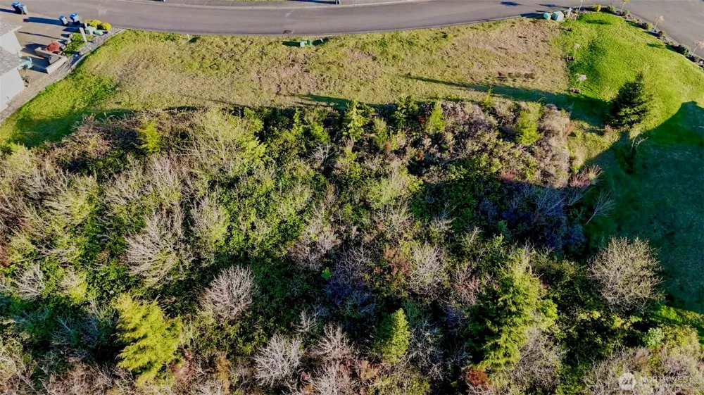 1154 Grays Pointe Lane Aberdeen, WA 98520