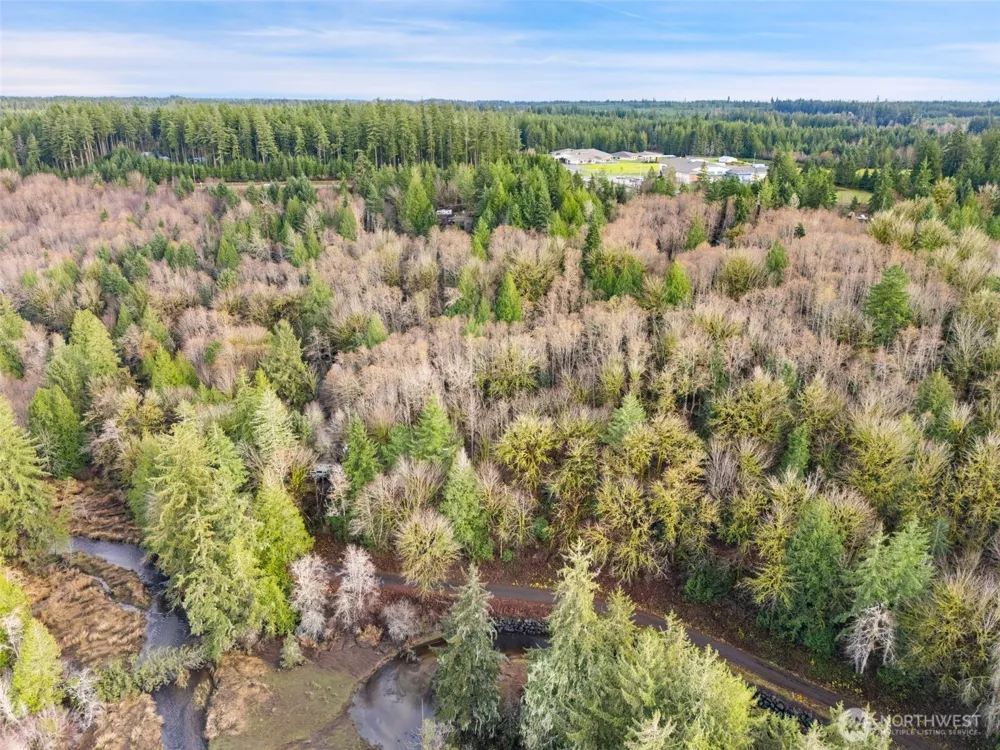 0 TR 2&3 E Agate Road Shelton, WA 98584