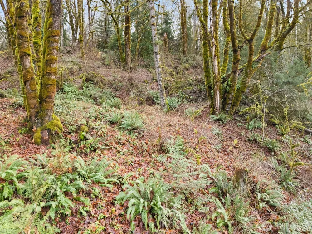 0 TR 2&3 E Agate Road Shelton, WA 98584