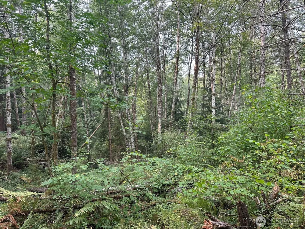 0 TR 2&3 E Agate Road Shelton, WA 98584