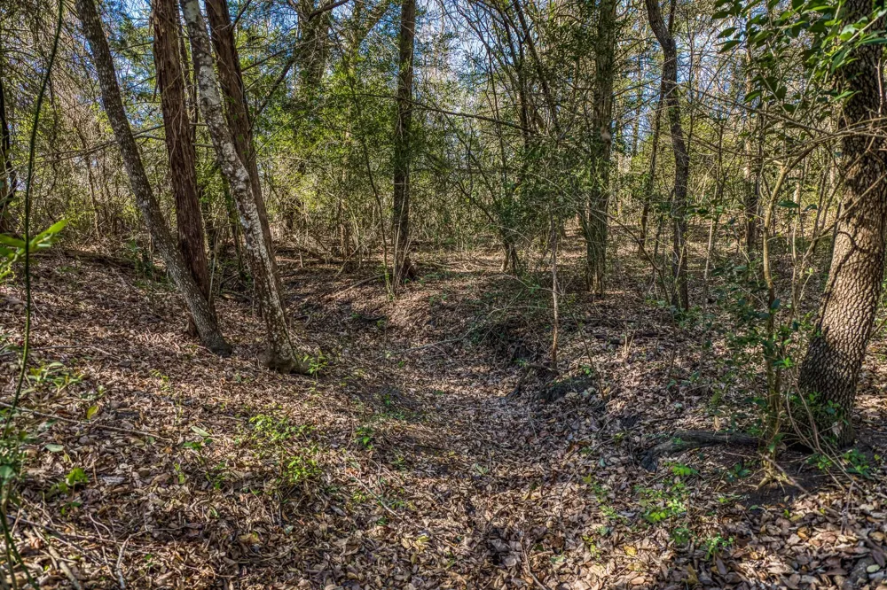 6510 Ganske Road Burton, TX 77835
