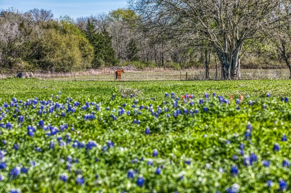 6510 Ganske Road Burton, TX 77835