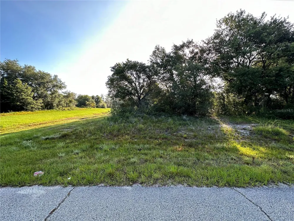0 MEDITERRANEAN DRIVE Kissimmee, FL 34759