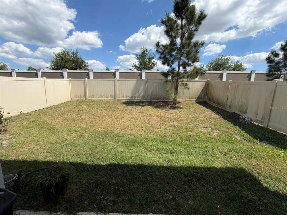 31406 MANGO FADE WAY San Antonio, FL 33576