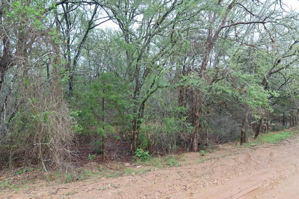 1034 Kawanui Drive Bastrop, TX 78602