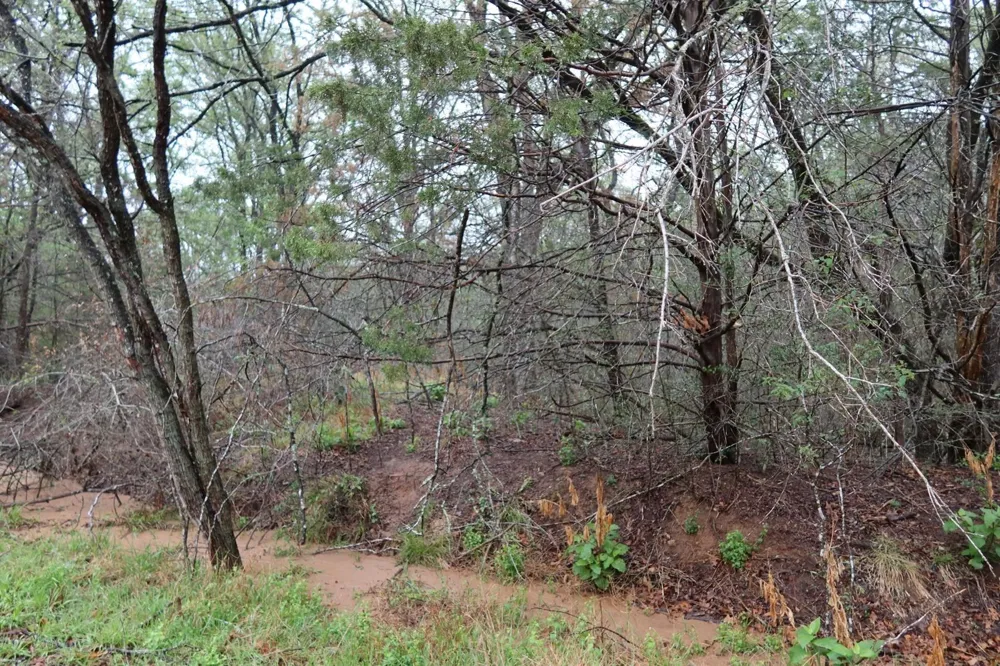 1034 Kawanui Drive Bastrop, TX 78602