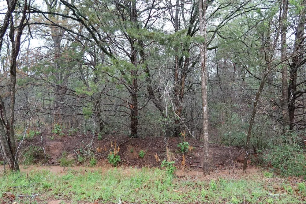 1034 Kawanui Drive Bastrop, TX 78602