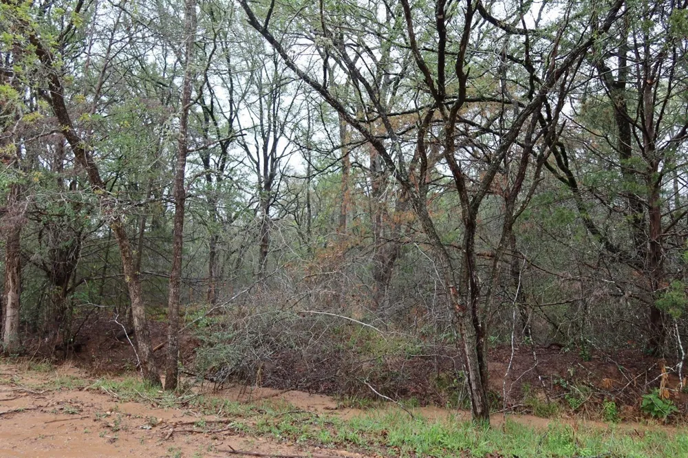 1034 Kawanui Drive Bastrop, TX 78602