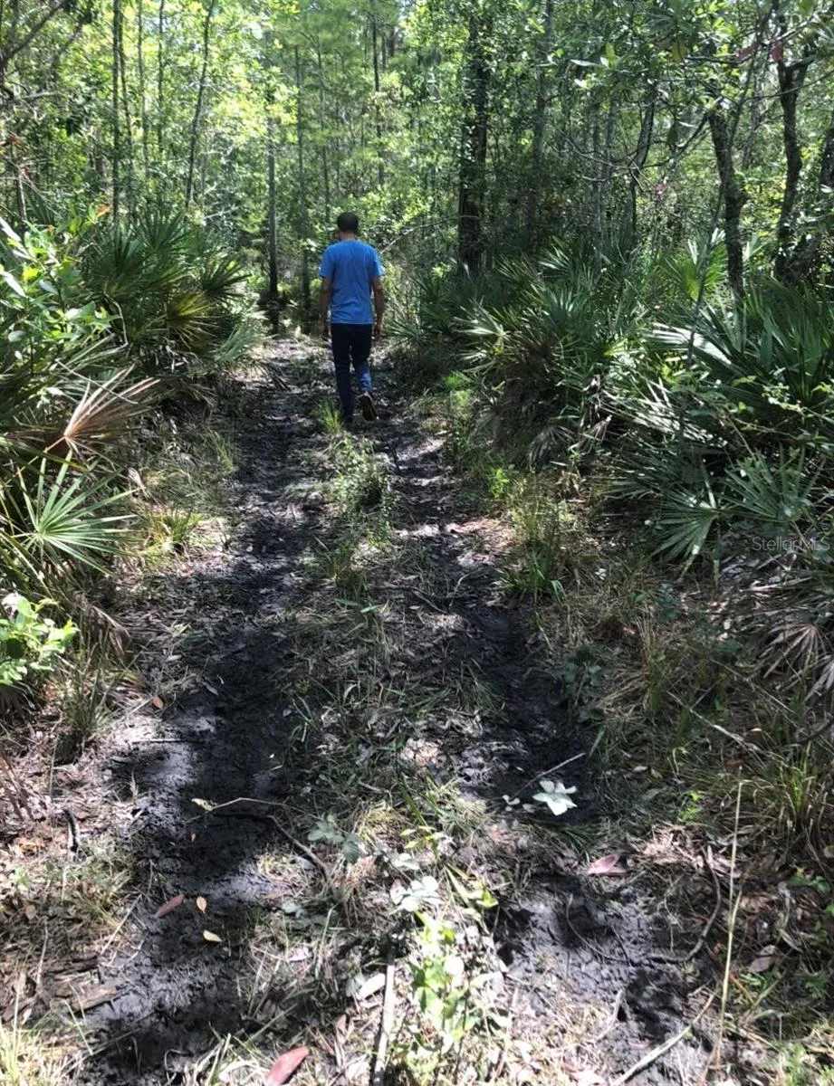2449 OLD TRAIN ROAD Deltona, FL 32738