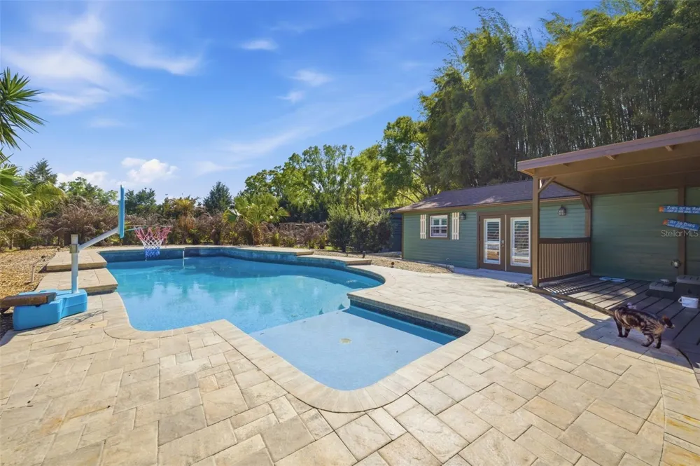 3752 OLD KEYSTONE ROAD Tarpon Springs, FL 34688
