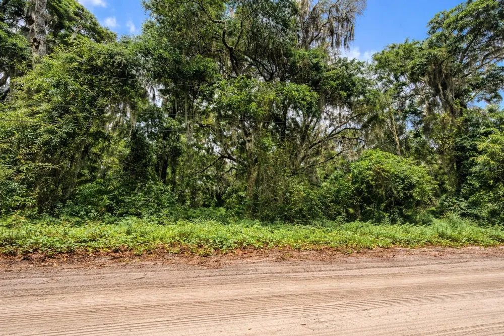 TBD NE 52ND COURT Anthony, FL 32617