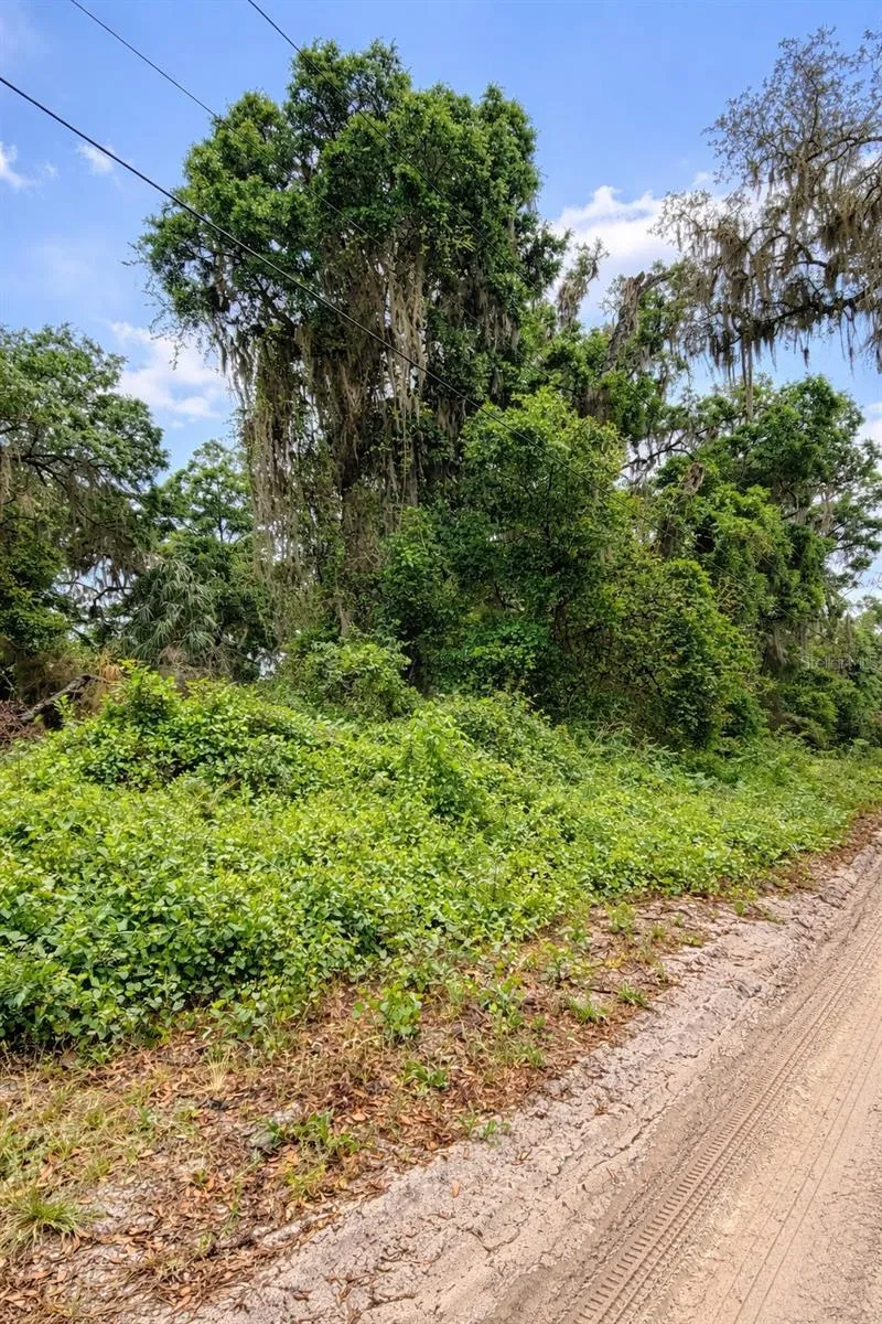 TBD NE 52ND COURT Anthony, FL 32617