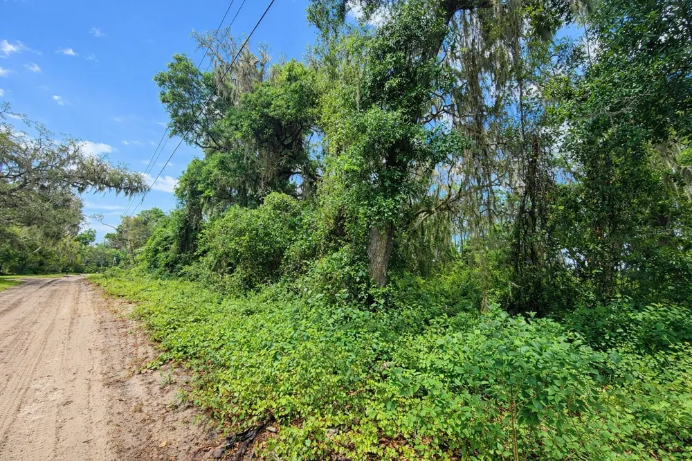 TBD NE 52ND COURT Anthony, FL 32617