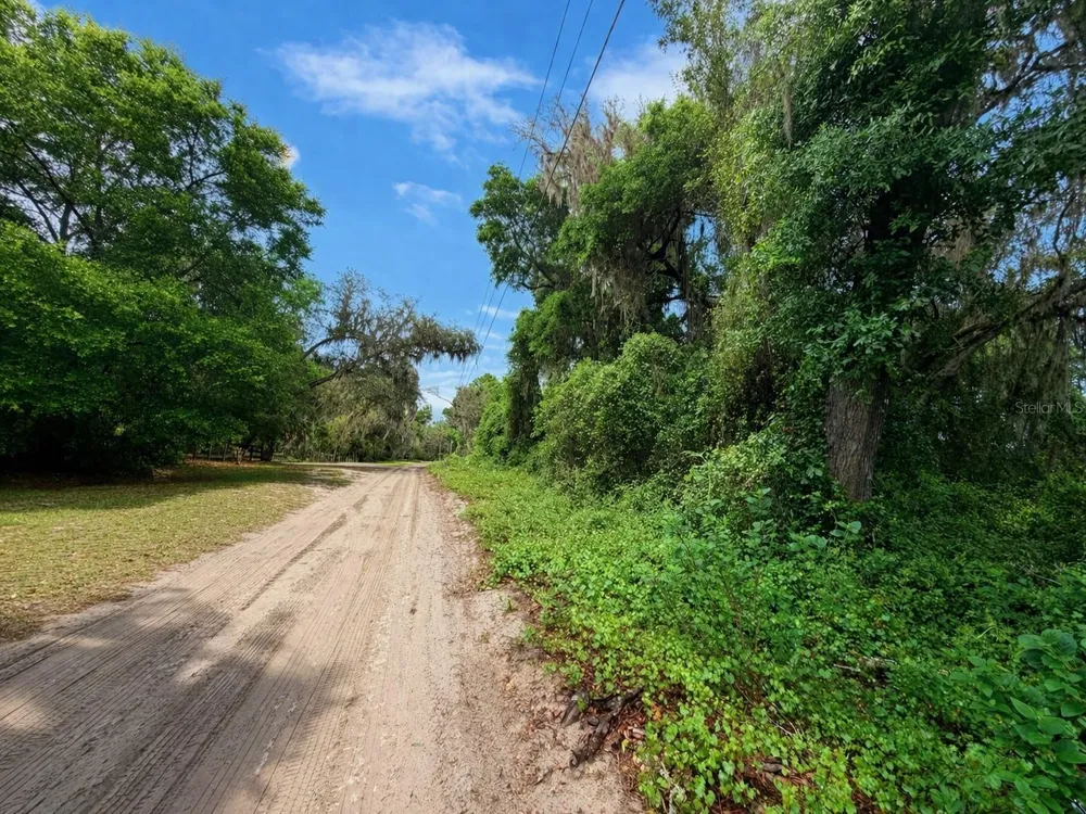 TBD NE 52ND COURT Anthony, FL 32617