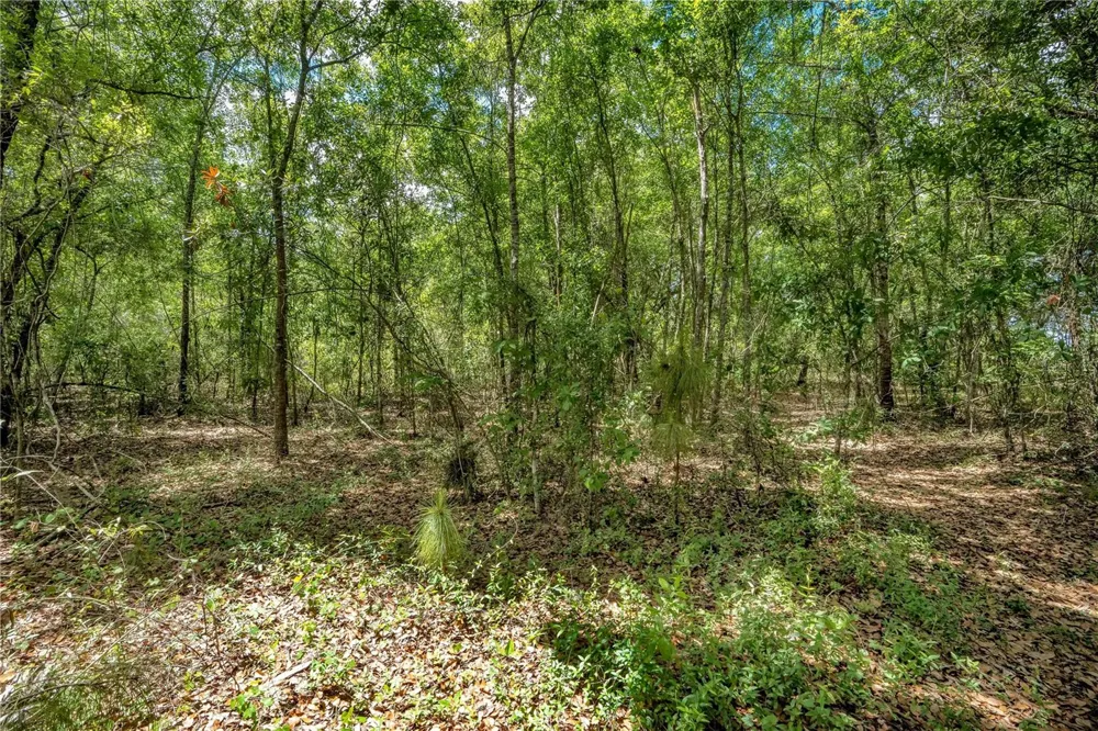 1903 SPRUCE CREEK CIRCLE Port Orange, FL 32128
