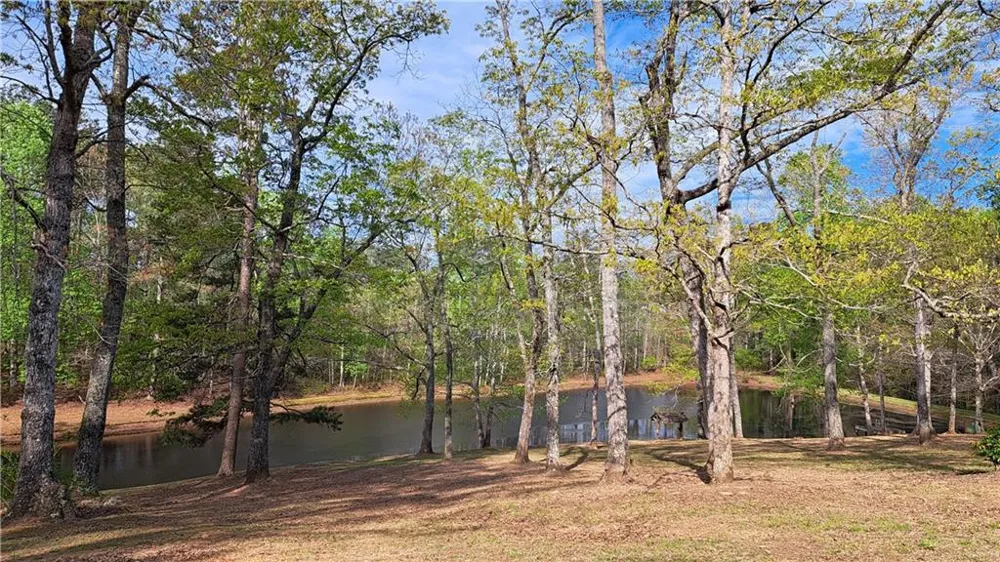 112 Brannon Road Buchanan, GA 30113