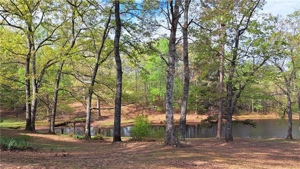 112 Brannon Road Buchanan, GA 30113