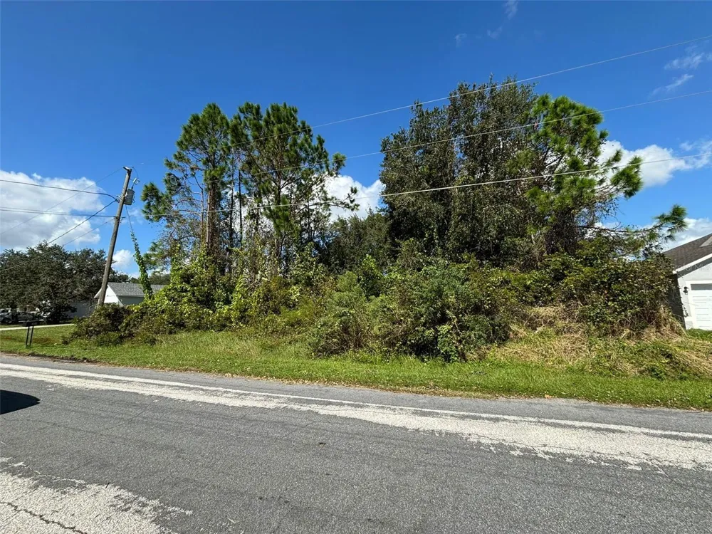 310 CARDIFF DRIVE Poinciana, FL 34758