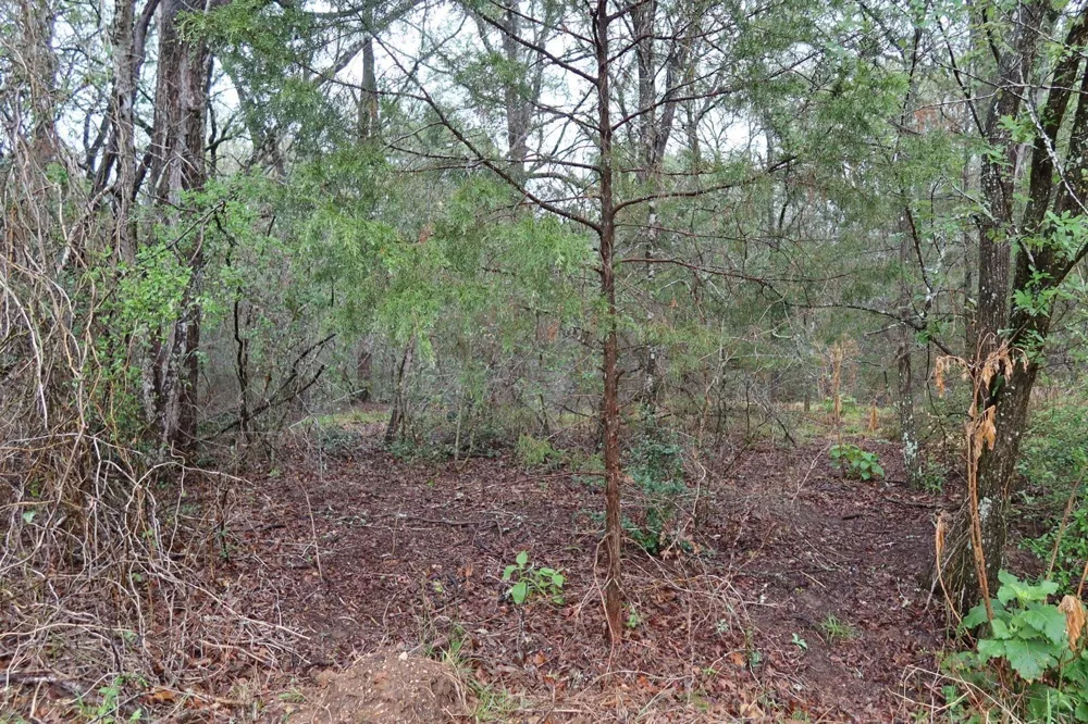 1035 Kawanui Drive Bastrop, TX 78602