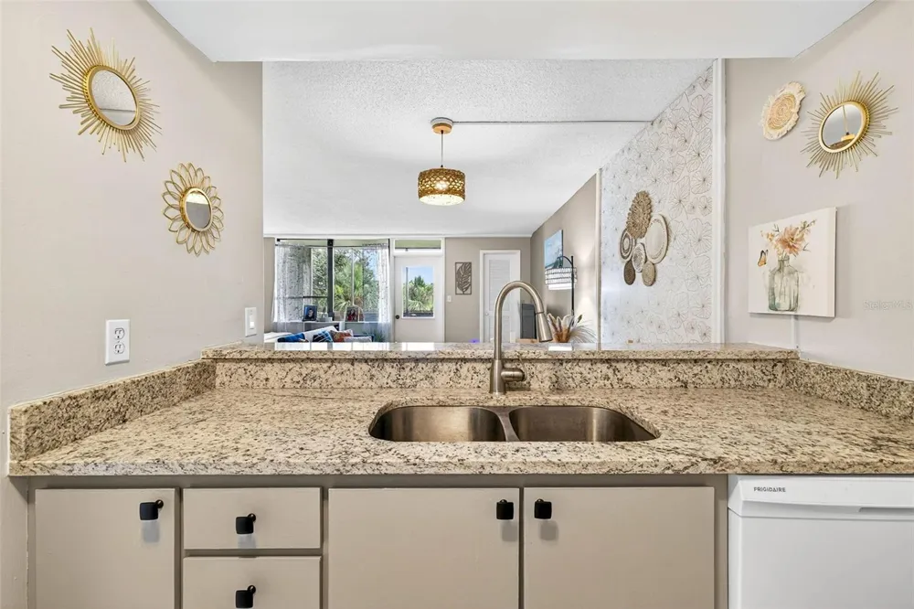 2614 COVE CAY DRIVE #405 Clearwater, FL 33760