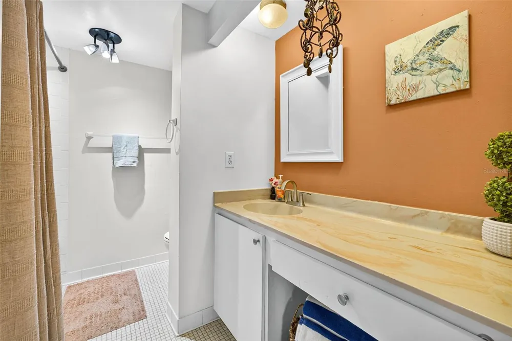 2614 COVE CAY DRIVE #405 Clearwater, FL 33760