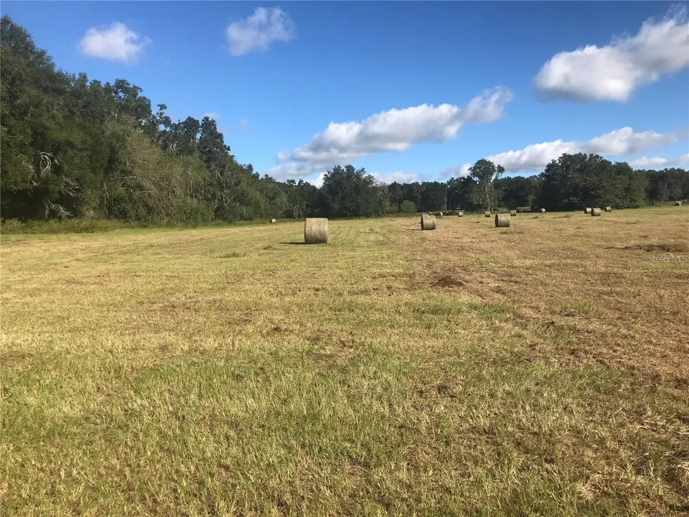 TBD NW 133RD Reddick, FL 32686