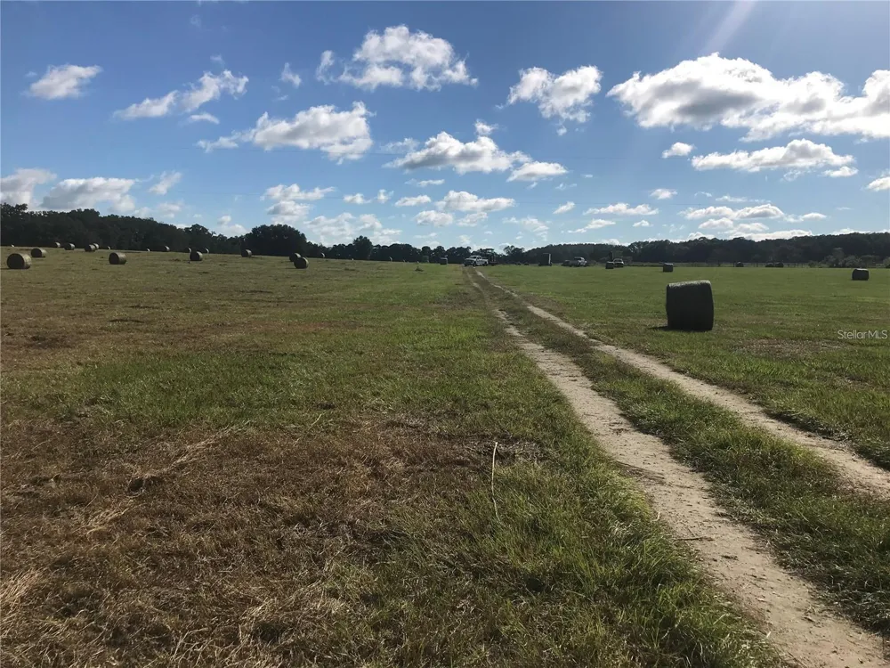 TBD NW 133RD Reddick, FL 32686