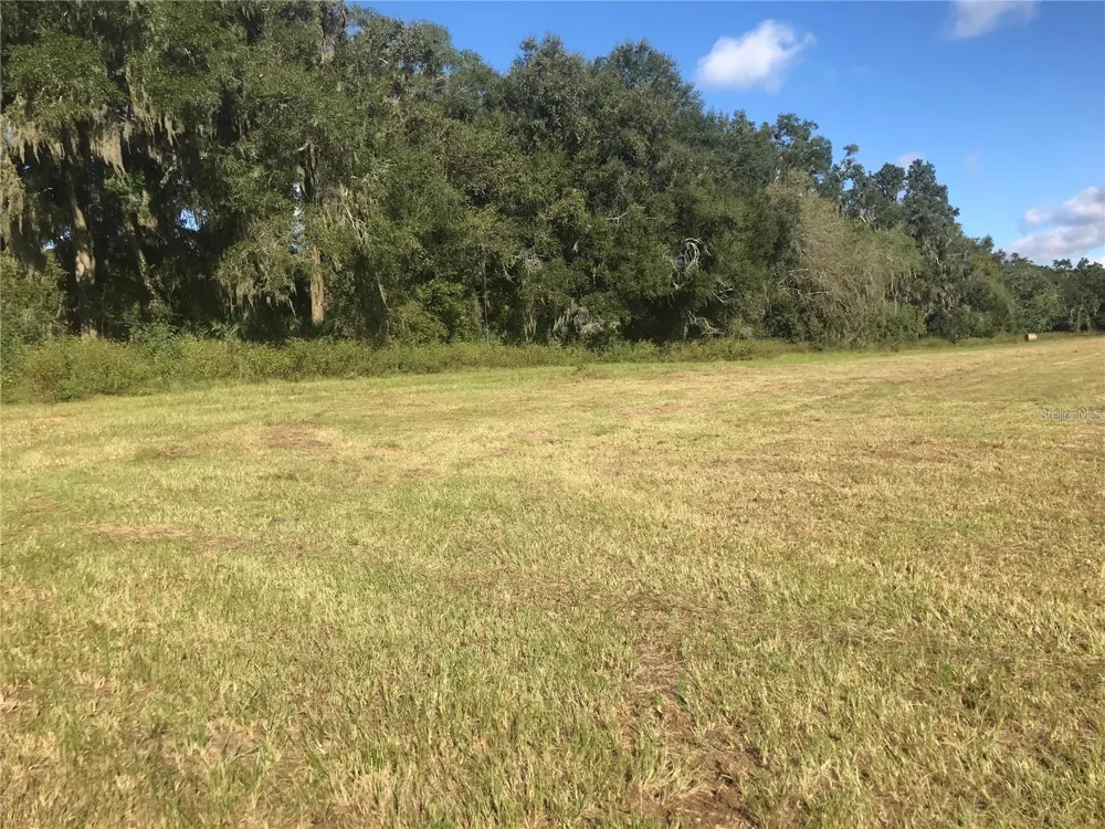 TBD NW 133RD Reddick, FL 32686