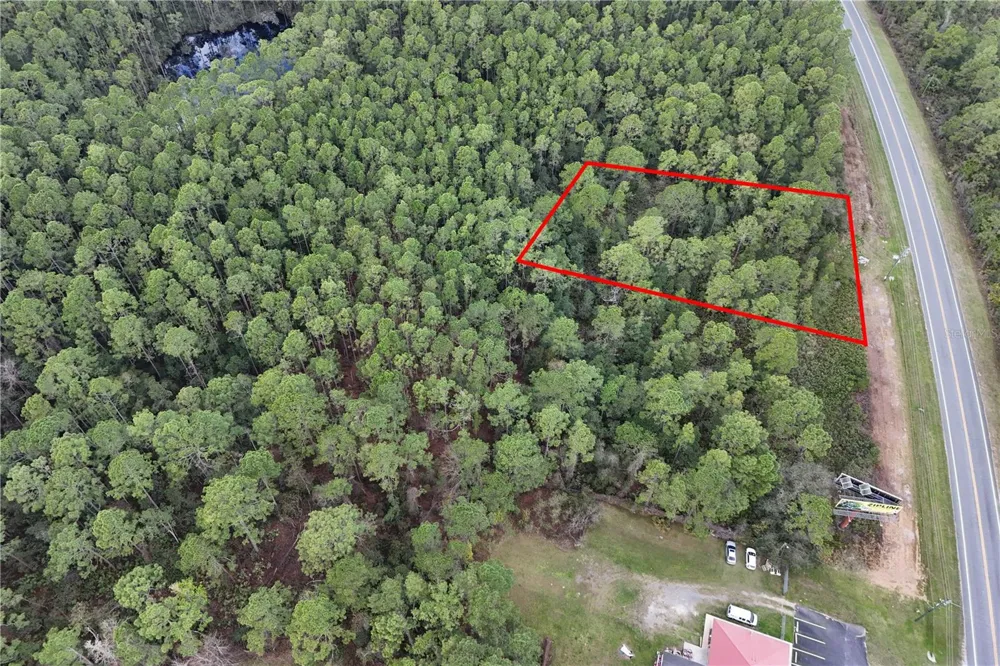 12260 E HWY 40 Silver Springs, FL 34488