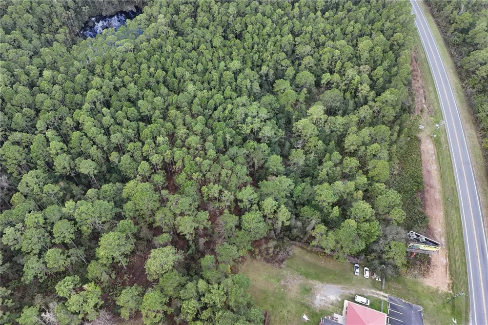 12260 E HWY 40 Silver Springs, FL 34488