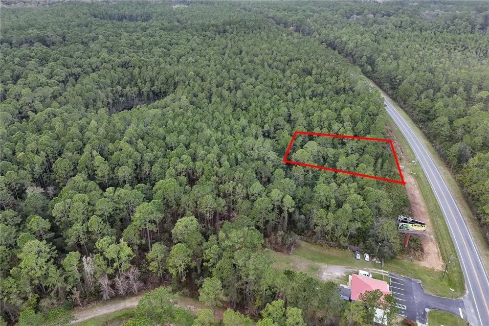12260 E HWY 40 Silver Springs, FL 34488