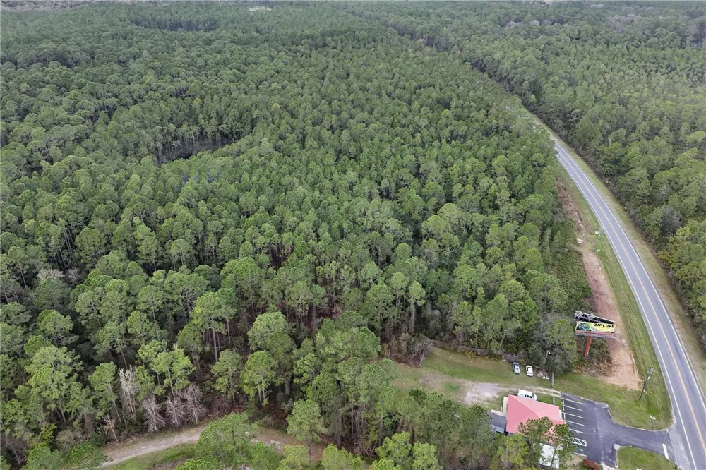 12260 E HWY 40 Silver Springs, FL 34488